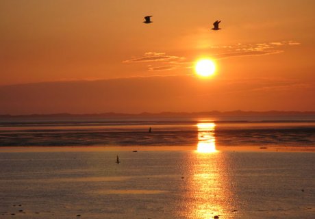 Insel Insel